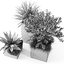 3D outdoor plants set pottery barn model