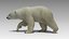 polar bear animations max