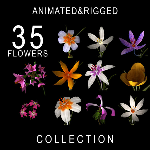 Flowering Plants 3D Models for Download | TurboSquid