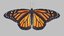 3D monarch butterfly