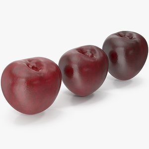 3D cherries fruit model