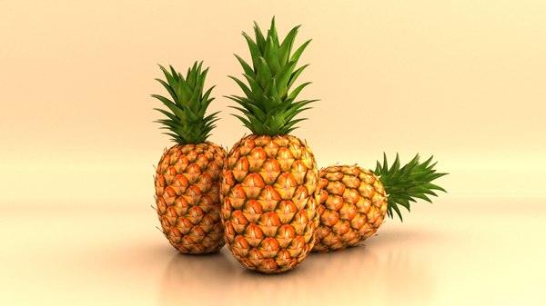 Pineapple fruit 3D model - TurboSquid 1599547