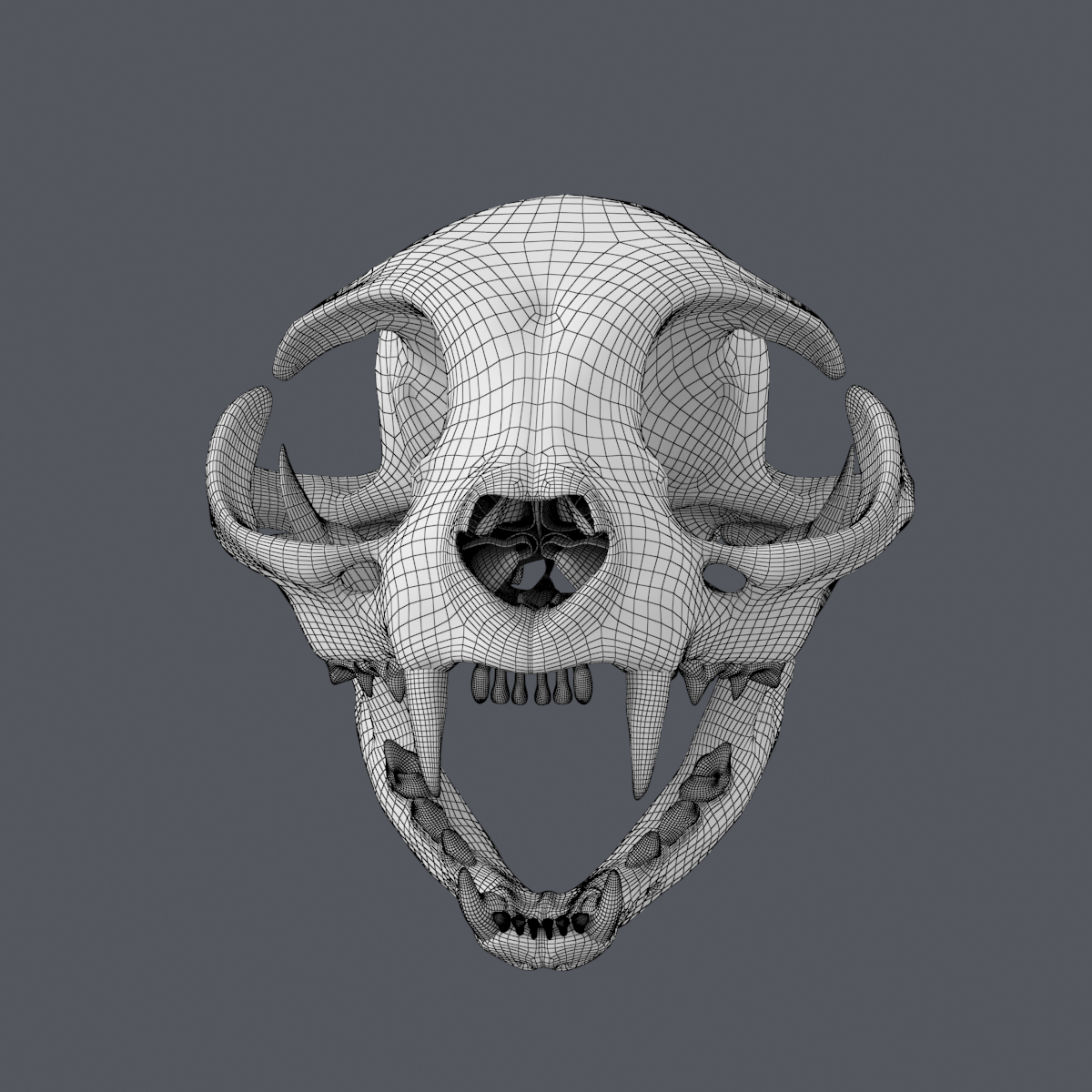 3D base mesh cat skull - TurboSquid 1600451