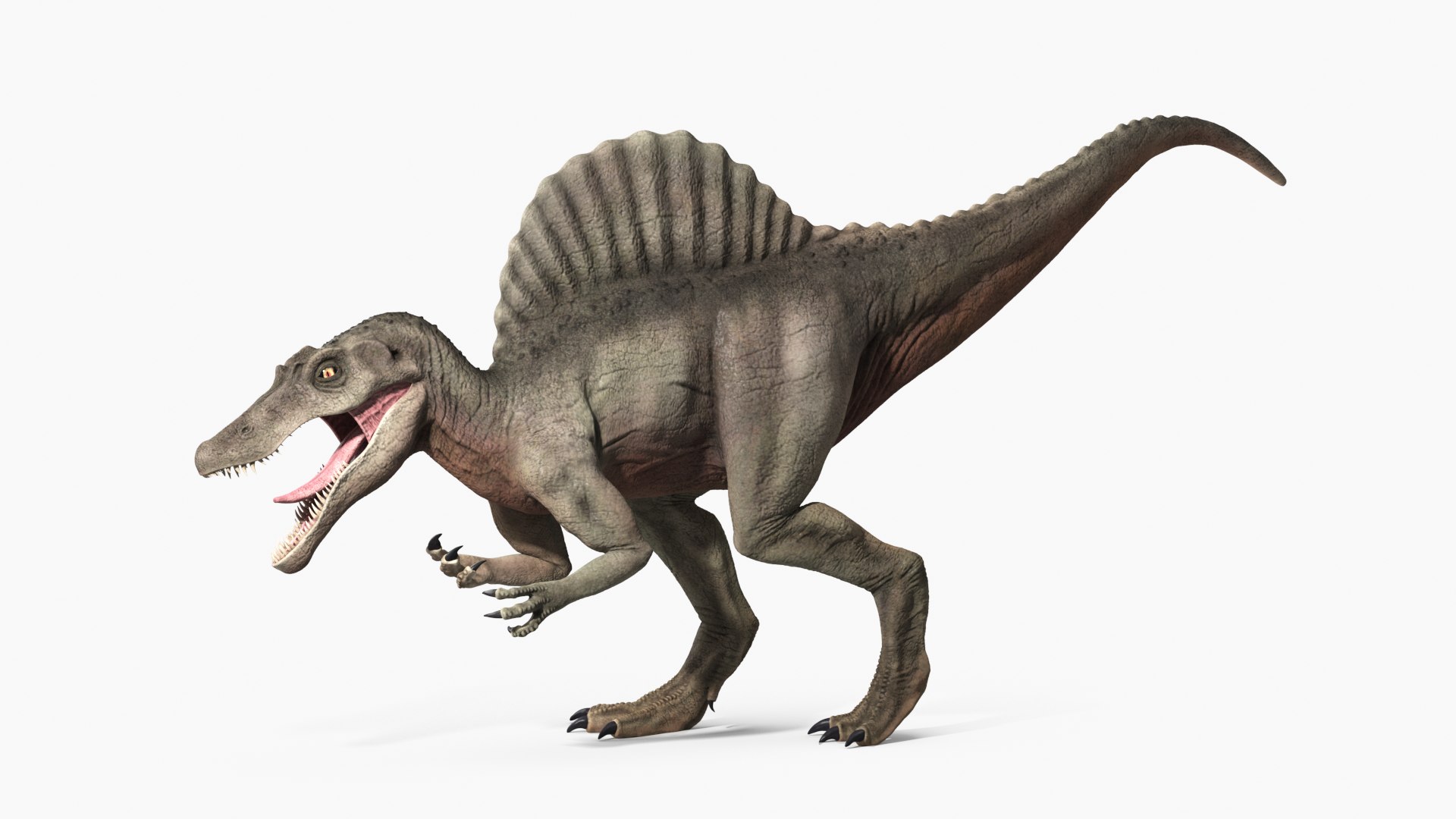 spinosaurus 2020 model