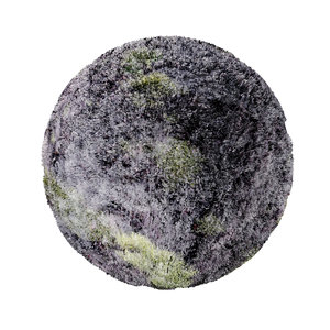 3D model 4k tree wood