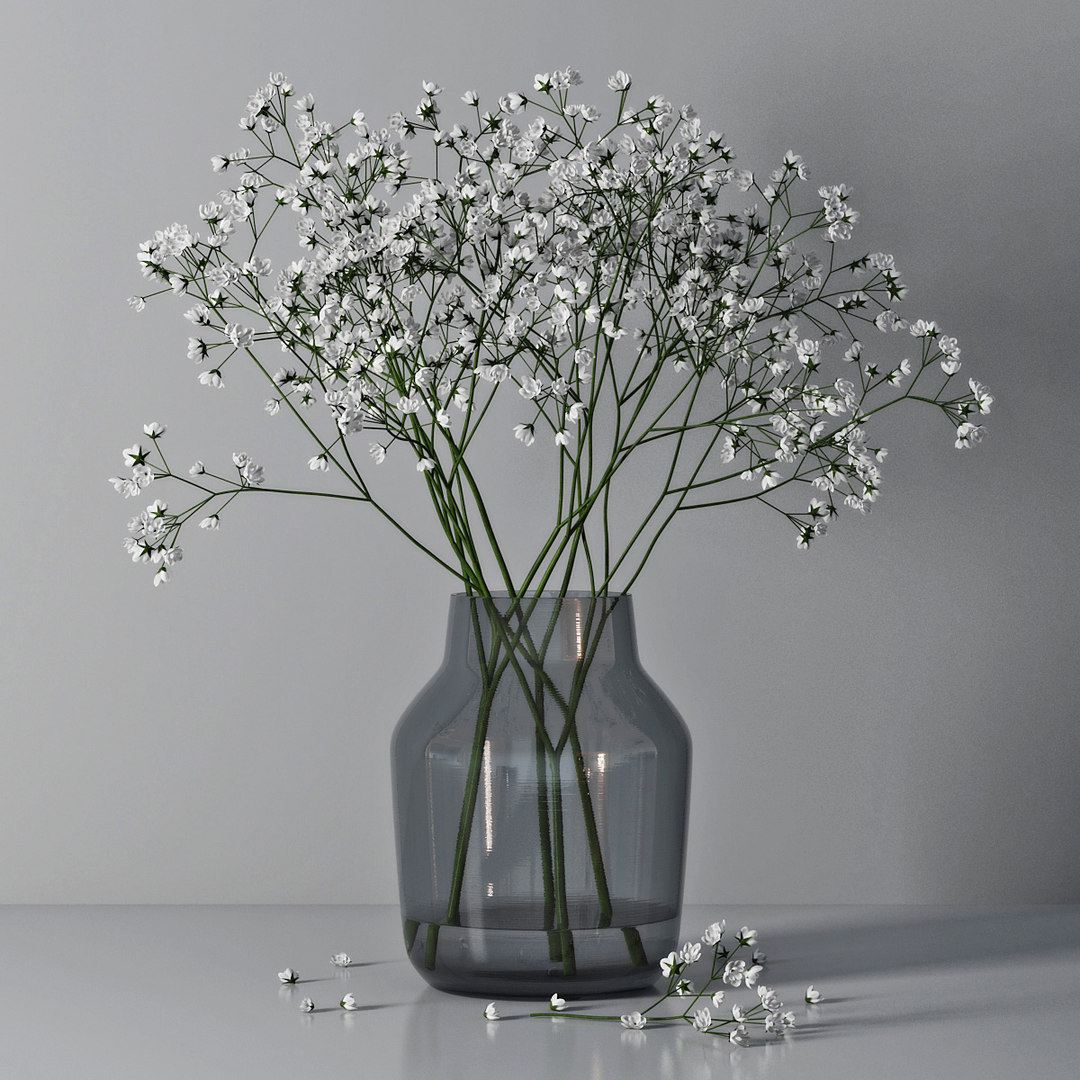 3D gypsophila vase TurboSquid 1588757