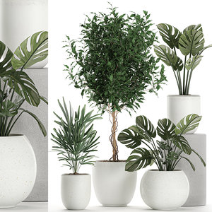 plants white 3D model