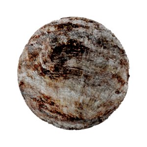 Bark-Wood-4K-Texture SR-X-003