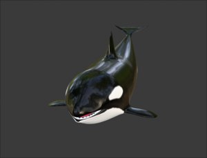 orca 3D