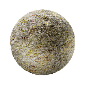 Bark-Wood-4K-Texture SR-X-007