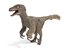 3D model velociraptor feathers