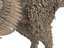 3D model velociraptor feathers