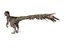 3D model velociraptor feathers
