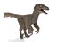 3D model velociraptor feathers