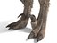 3D model velociraptor feathers