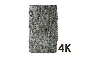 Tree Bark Material 4K