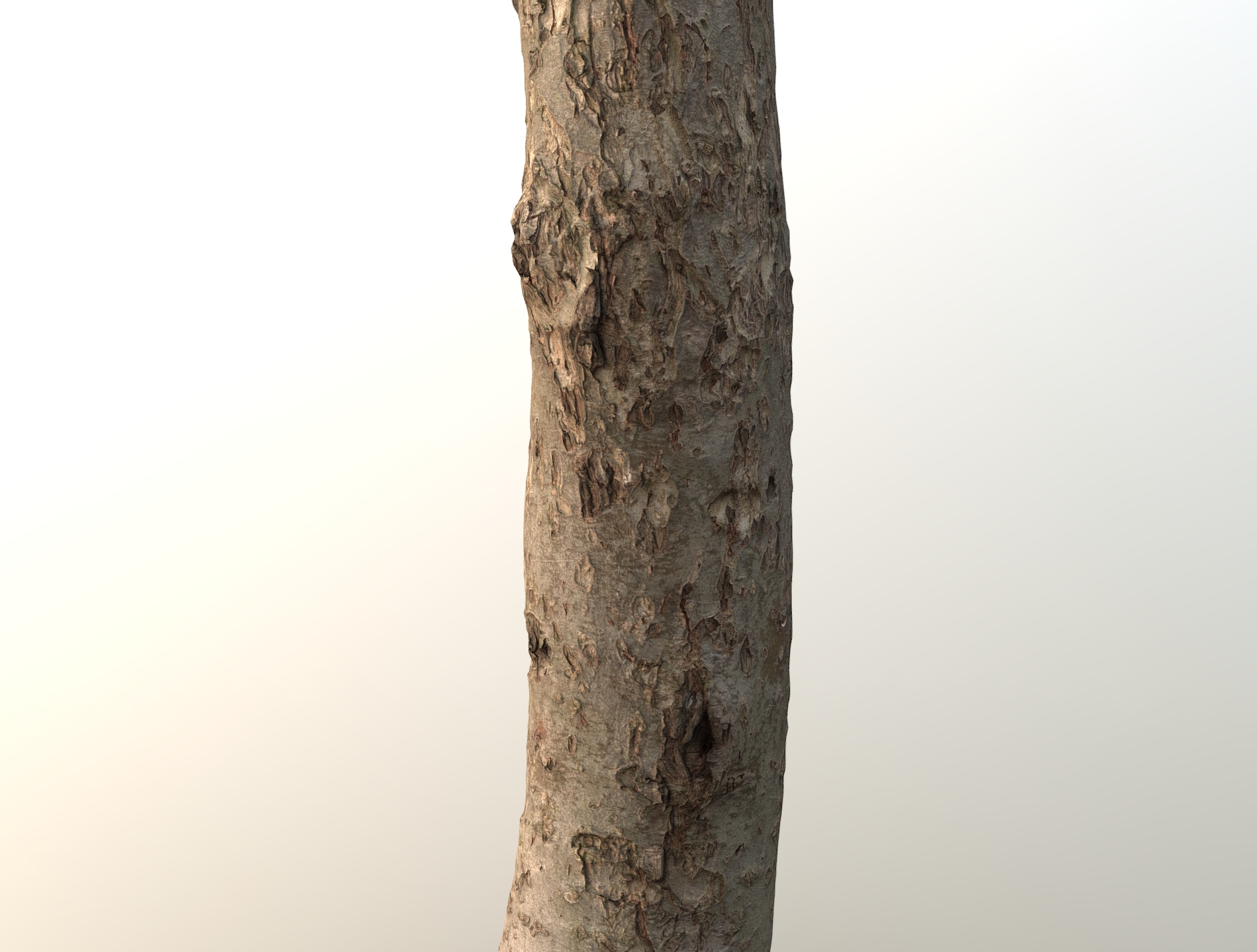 얇은 사과 나무 줄기 3D 모델 - TurboSquid 1602996