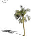 3D palm wind tree