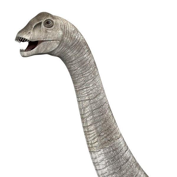 Modele 3d De Dinosaure Diplodocus Avec Textures Pbr Turbosquid Modele 3d De Dinosaure Diplodocus Avec Textures Pbr Turbosquid