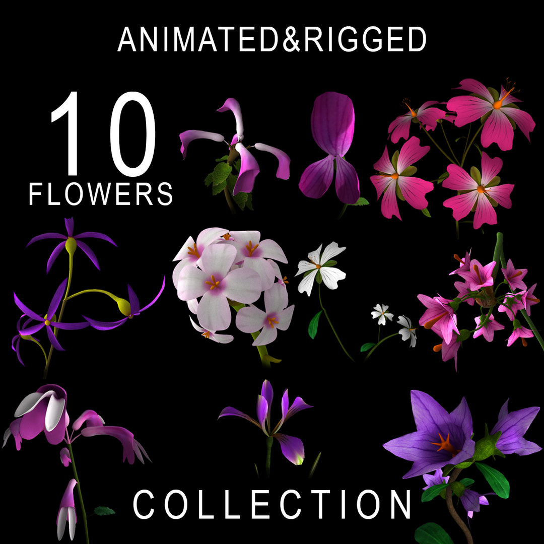 Flowers animation 3D model - TurboSquid 1603291