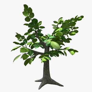 3D sagwan tree