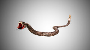 3D rattle snake
