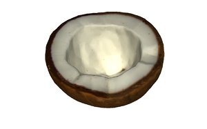 3D half coconut