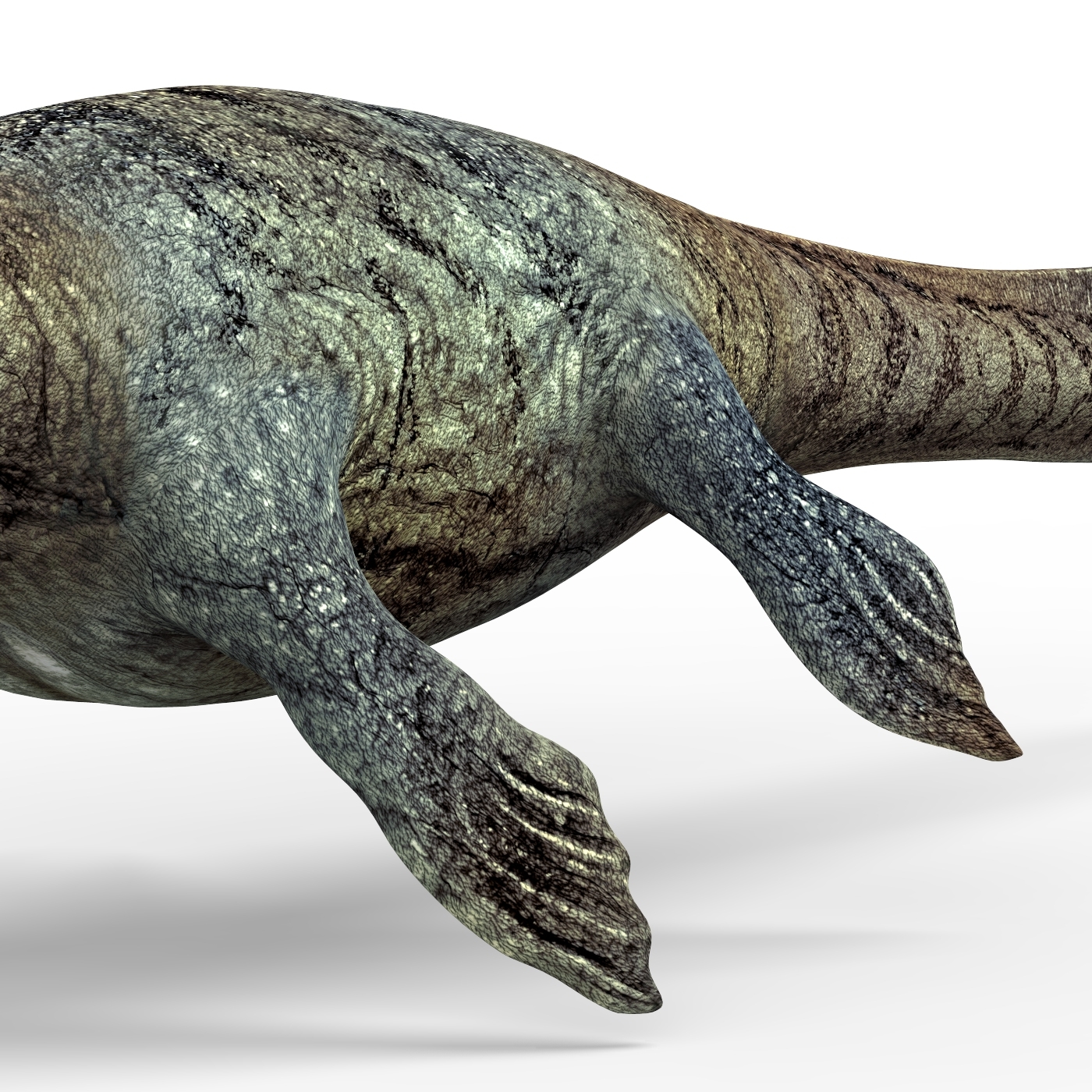 mosasaurus 3d google