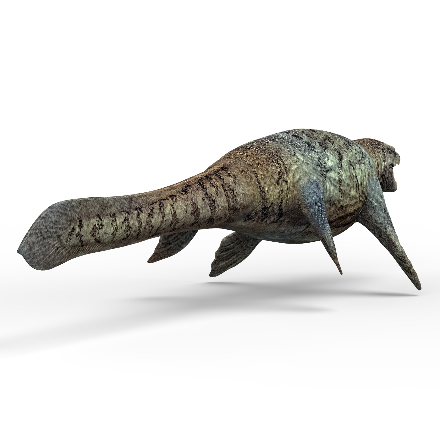 mosasaurus 3d google