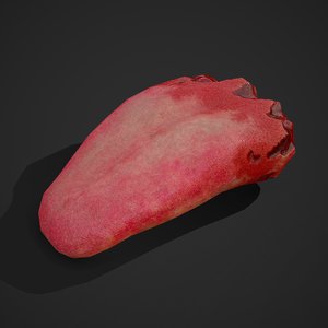 severed tongue model