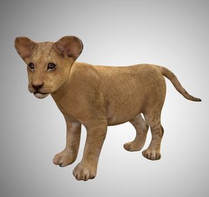lion baby 3D model