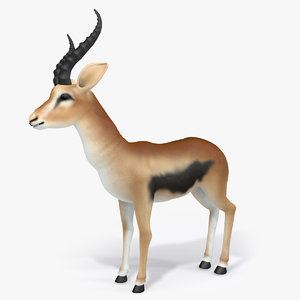 antelope 3D