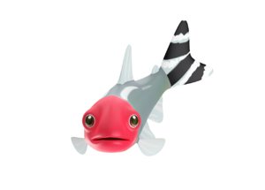 3D srummynose tetra fish toon model