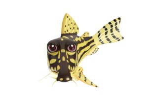 sterba s corydoras fish toon 3D model