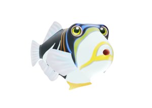 picasso trigger fish toon 3D model