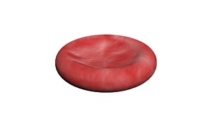 3D blood cell red corpuscles model