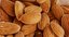 bowl almonds nut model