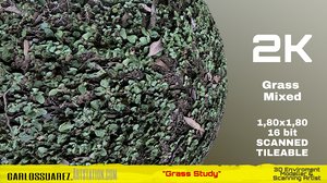 PBR Material Grass02 Mixed 2K