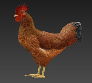 rooster 3D model