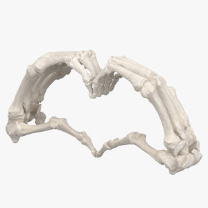 human hand bones white 3D