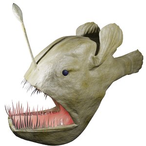 3D monkfish rig