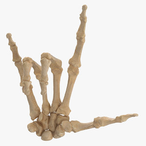 3D human hand bones love
