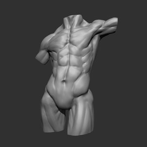 male torso 3D model