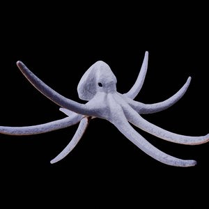 3D octopus swimming animation model