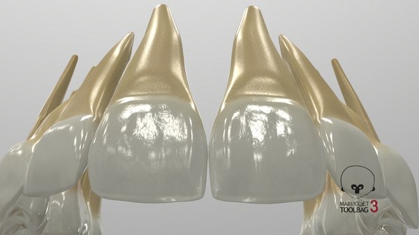 3D model permanent teeth - TurboSquid 1609178