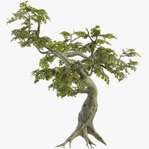 3D tree twisted model