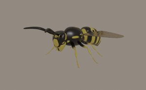 3D yellow wasp