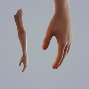 hand skin 3D model