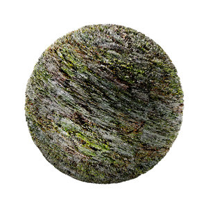 Bark-Wood-4K-Texture SR-X-012