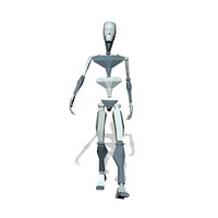 Walking forward Type 01